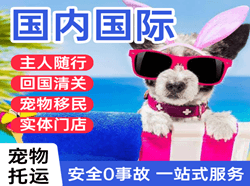包头航空物流国际宠物托运 【国